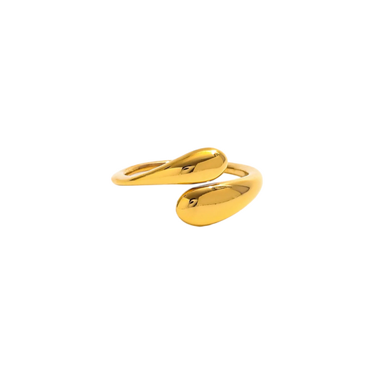 The Aria Ring