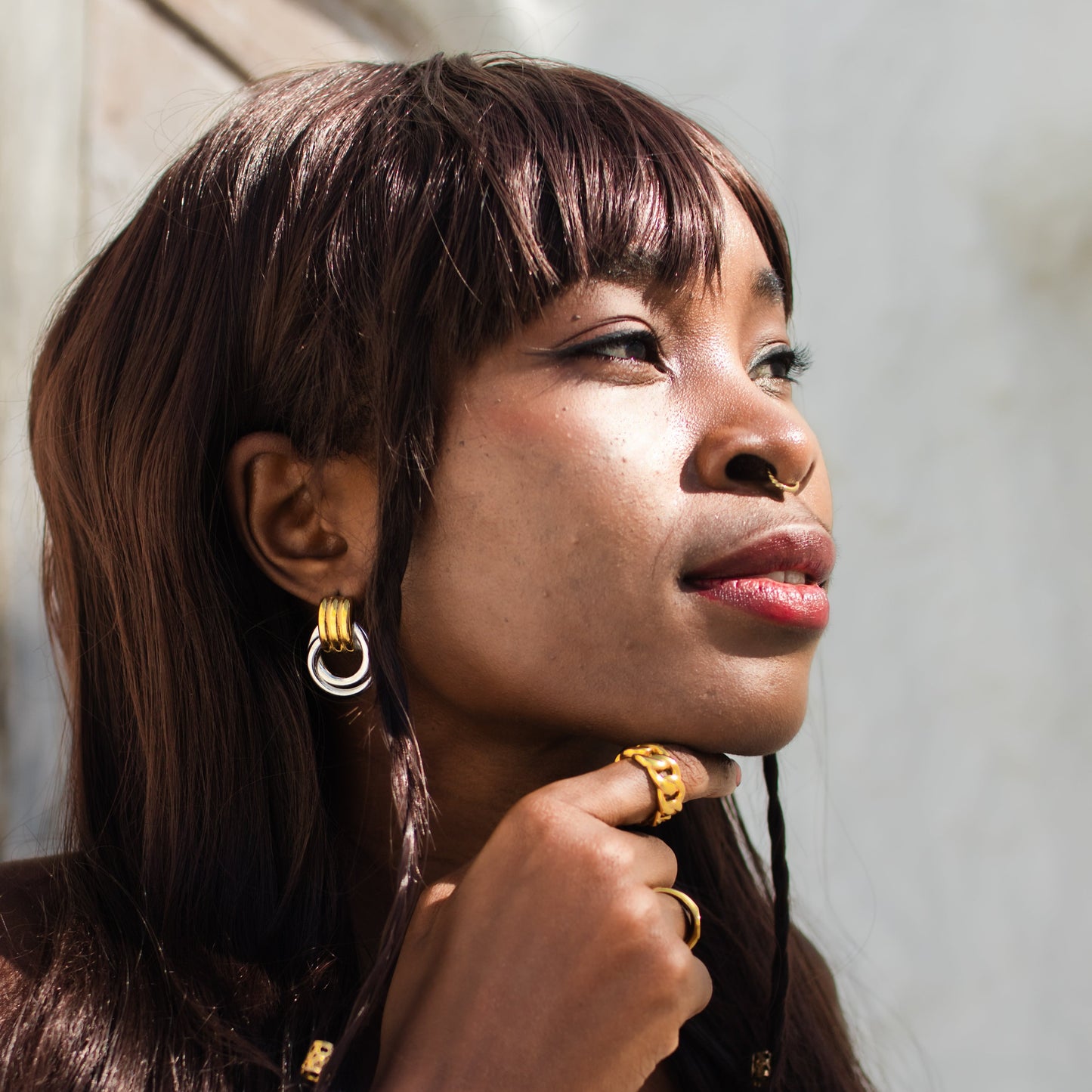 Cassandra Earrings Two Tone